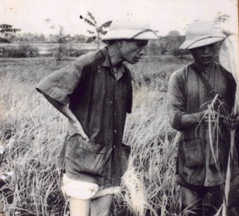 Ông Kim Ngọc (trái) thăm ruộng lúa bị bệnh vàng lụi.Người đang báo cáo là ông Ngát - bí thư Huyện ủy Bình Xuyên - Ảnh tư liệu